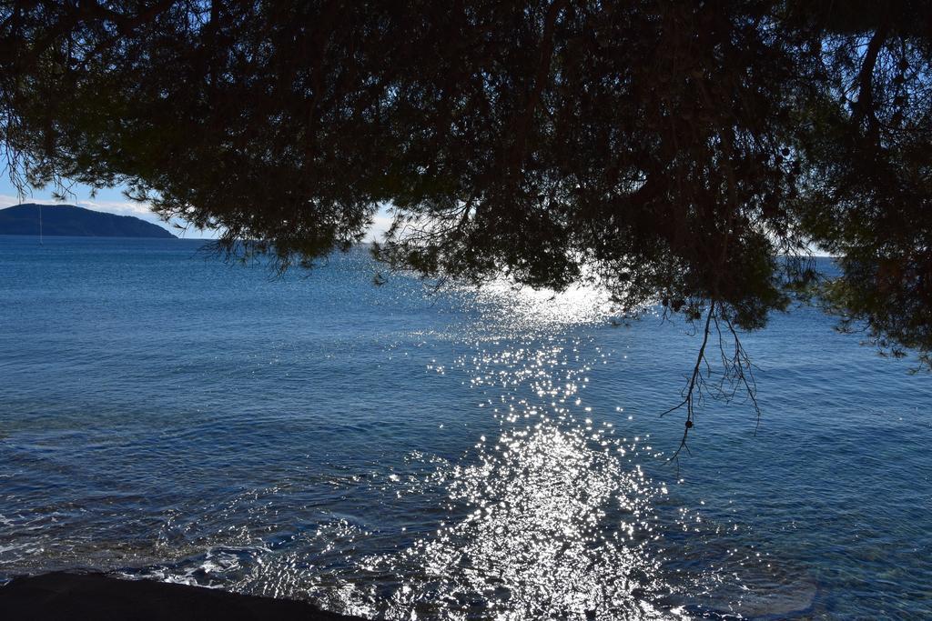 Studio Le Pénéqué des Anges La Ciotat Exterior foto