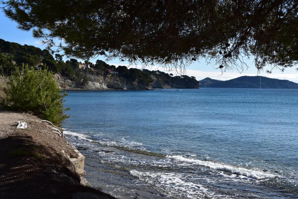 Studio Le Pénéqué des Anges La Ciotat Exterior foto